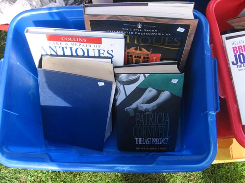 bargain bucket books