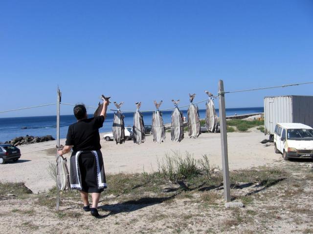 fish drying