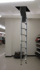 ladders wilkos