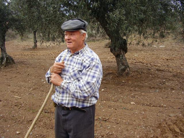 olive farmer