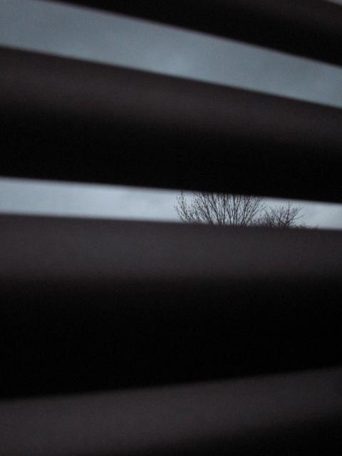 shutter tree