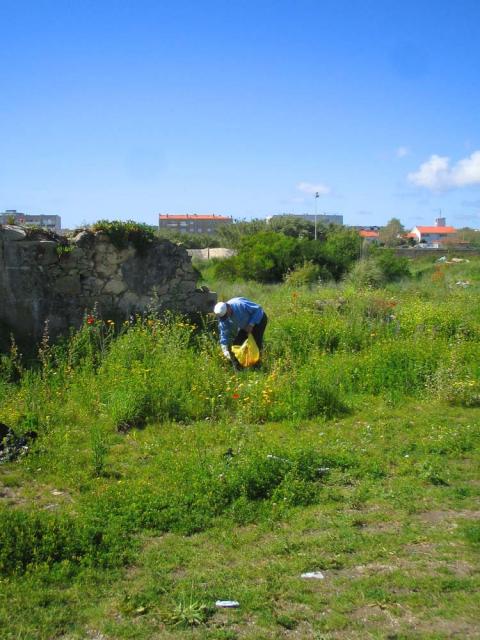 guerrila gardening